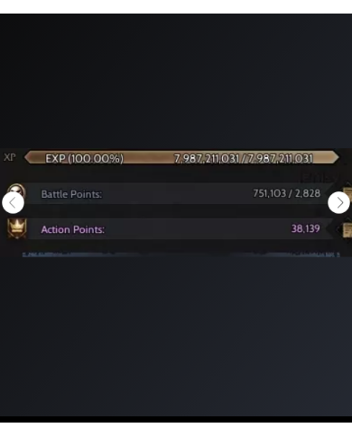 +20 Relic Full Skill Warrior 750k Battle Point