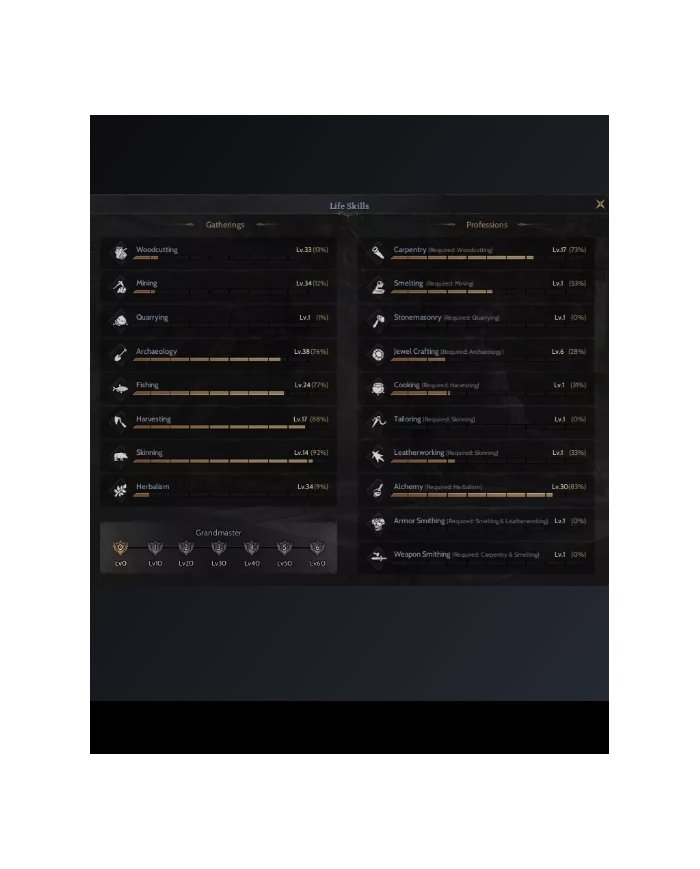 85 lvl Archer-Protean Full skill Meslek Kare