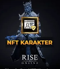 Rise Online NFT Karekter